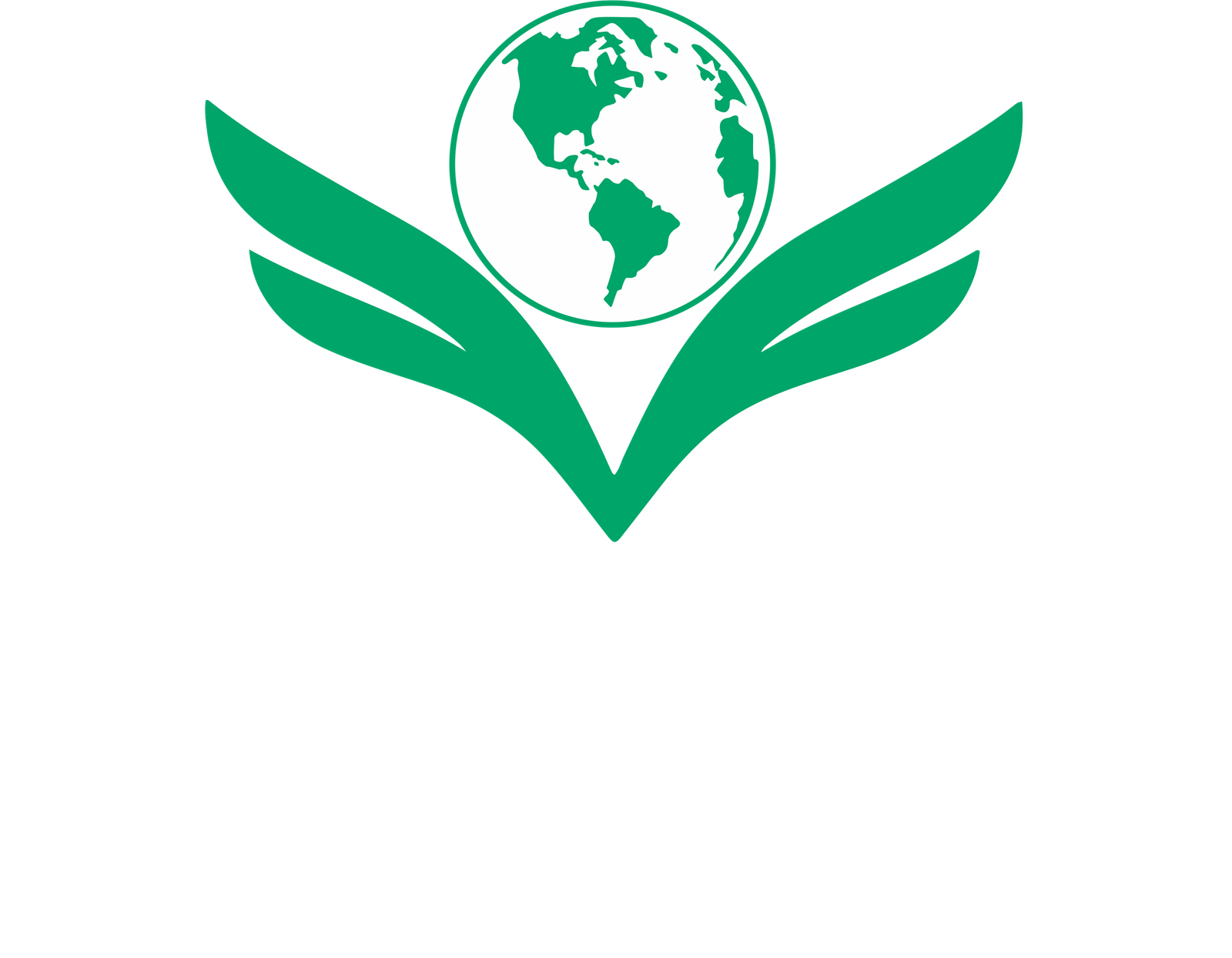 Vegsha International Express LLP